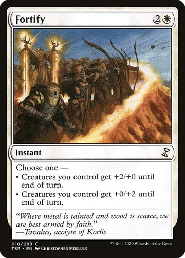 Fortify 18