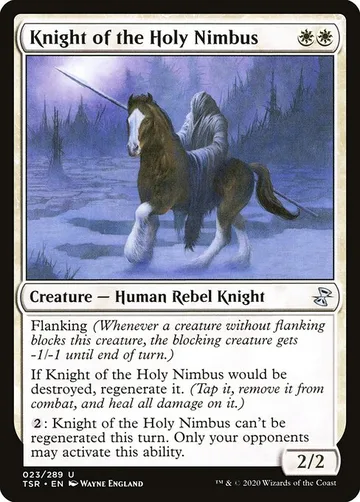 Knight of the Holy Nimbus 23