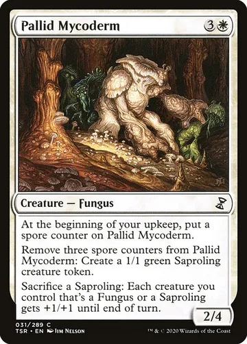 Pallid Mycoderm 31