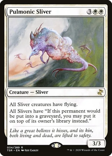 Pulmonic Sliver 34