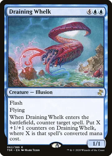 Draining Whelk 62