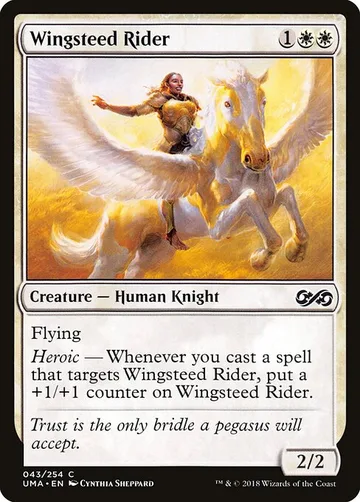 Wingsteed Rider 43