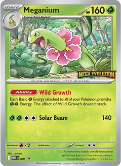Meganium 001
