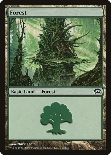 Forest 169, carta de Magic: The Gathering de Planechase