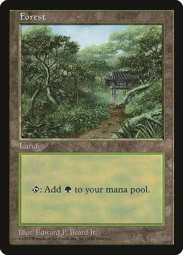 Forest 11