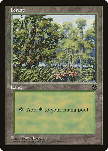 Forest 5, carta de Magic: The Gathering de Arena League 1996