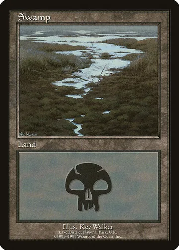 Swamp 10