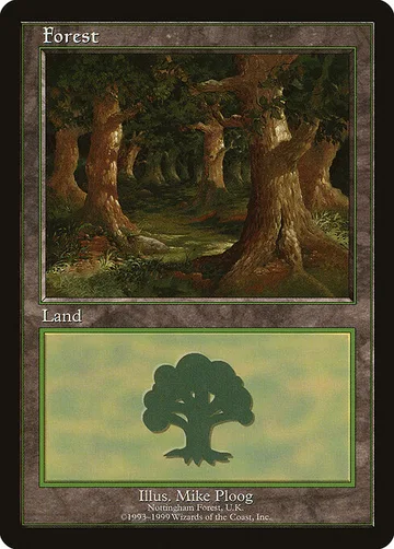 Forest 11
