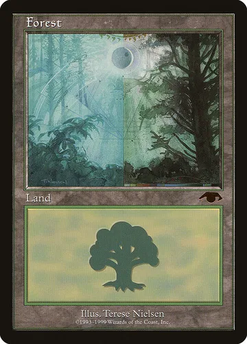 Forest 5