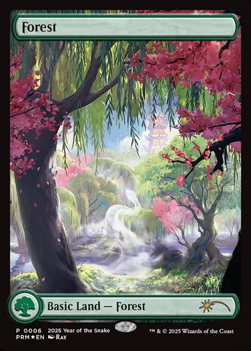 Forest 6