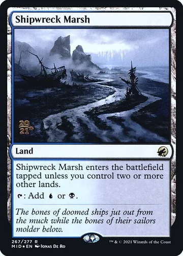 Shipwreck Marsh 267s