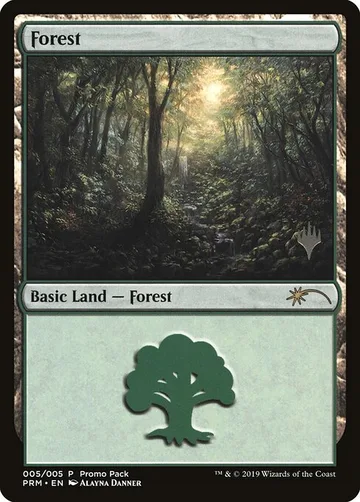 Forest 5