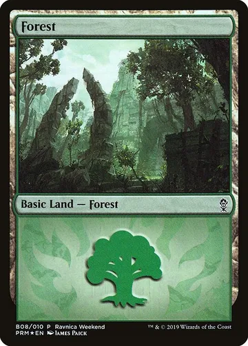 Forest B08