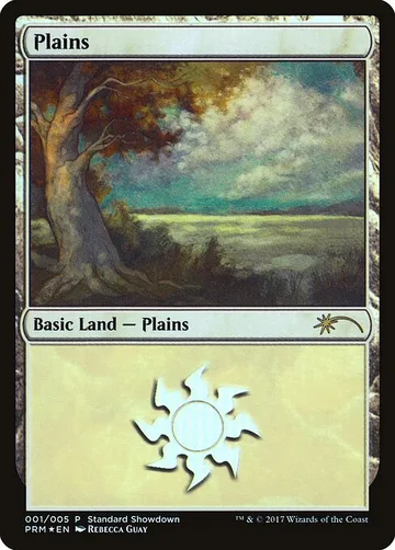 Plains 1
