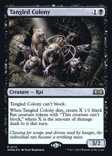 Tangled Colony 113s