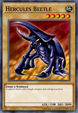 Escarabajo Hércules OP19-012