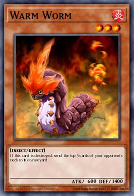 Gusano Ardiente TF04-001