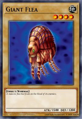 Pulga Gigante TP1-017