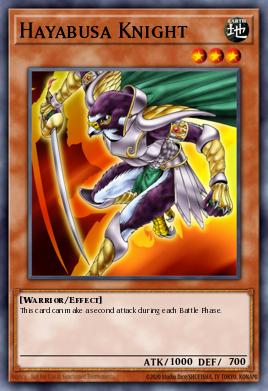 Caballero Hayabusa TP4-019