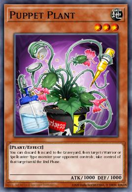 Planta Títere TU05-006