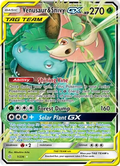 Venusaur y Snivy GX 1/236