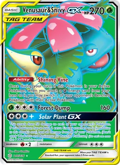 Venusaur y Snivy GX