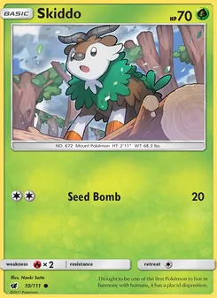 Skiddo 10/111