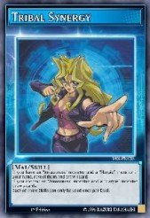 Tribal Synergy SS02-SS02-ENCS3