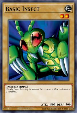 Insecto Básico