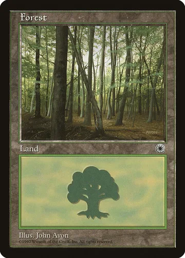 Forest 213