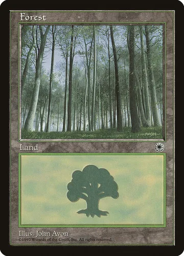 Forest 215