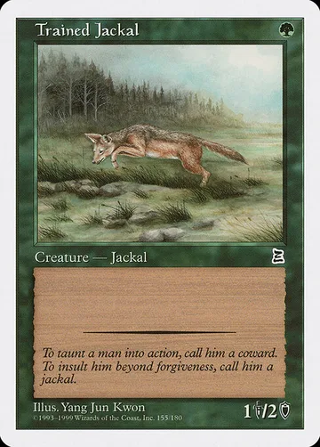 Trained Jackal 155