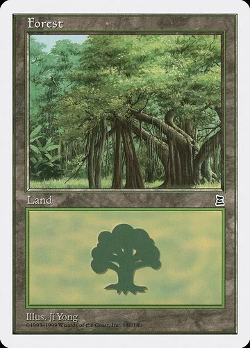 Forest 180