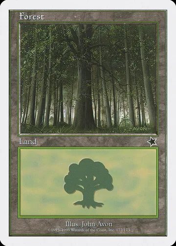 Forest 172