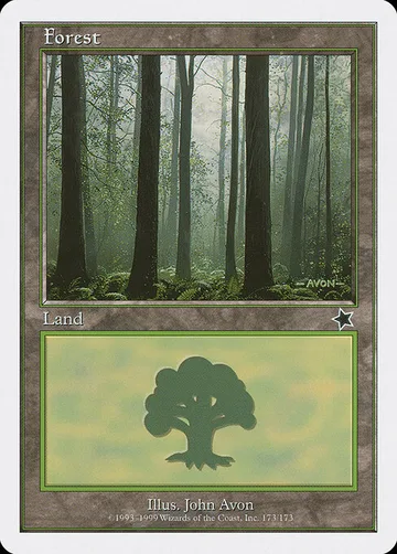 Forest 173