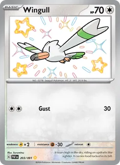 Wingull 203/091