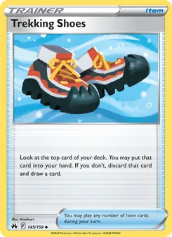 Botas de Expedición