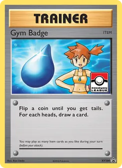 Gym Badge XY204